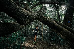 BIB: 
                            <button type="button" onclick="openModal(25663350)" class="btn btn-primary btn-sm float-right btn-popup" data-toggle="modal" data-target=".modal-high-quality">
                        <i class="fas fa-shopping-cart"></i> Add to Cart
                    </button>
                                            <button type="button" onclick="isThisMe(25663350, true)" class="btn btn-success btn-sm float-right btn-popup btn-isme hidden" data-toggle="tooltip" data-placement="bottom" title="นี่คือรูปของคุณใช่ไหม คลิกที่นี่เพื่อเอาเข้าอัลบั้ม">
                        <i class="fas fa-plus"></i> Add to album
                    </button>
                    <button type="button" onclick="isThisMe(25663350, false)" class="btn btn-warning btn-sm float-right btn-popup btn-isnotme hidden">
                        <i class="fas fa-ban"></i> Remove from album
                    </button>